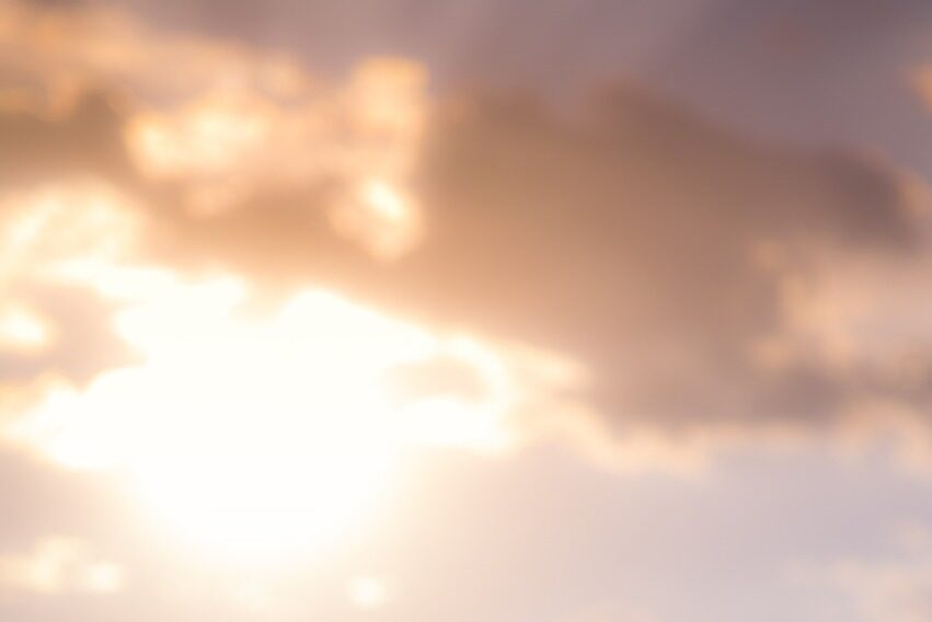 flowers, plants, sunset, meadow, grass, grassland, sunshine, lock screen wallpaper, mobile wallpaper 4k, cloud, sky, beautiful flowers, sky background, wallpaper, samsung wallpaper, nature, background, phone wallpaper, ipad wallpaper, beautiful wallpaper, aesthetic wallpaper, mobile wallpaper, flower background, iphone wallpaper, flower wallpaper